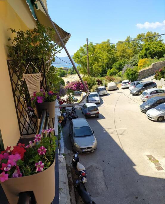 Xenofon'S Cozy Apartment Korfu Dış mekan fotoğraf